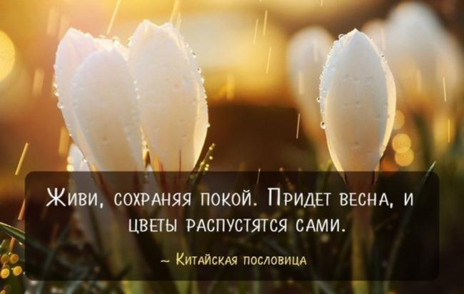 Китайская пословица