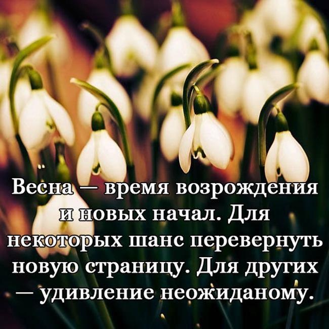 Красивые-цитаты-про-весну-короткие-новые-свежие-со-смыслом