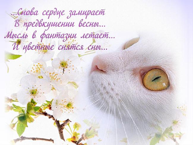 Цитаты про весну короткие