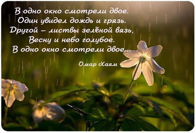 Цитаты со смыслом картинка