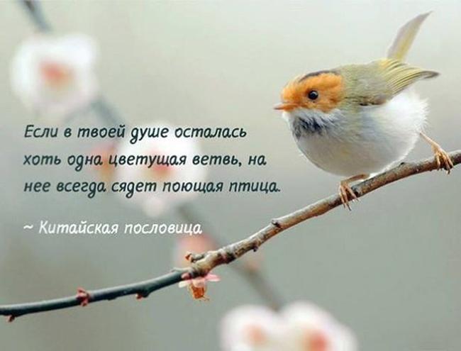 Цитаты короткие о весне