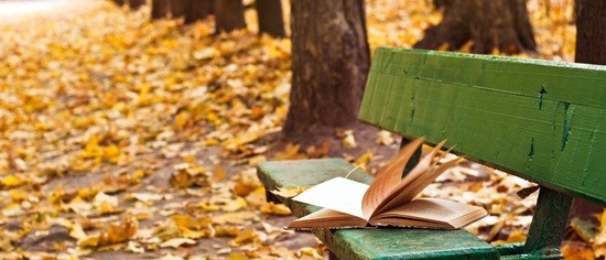 old book on the bench in autumn park