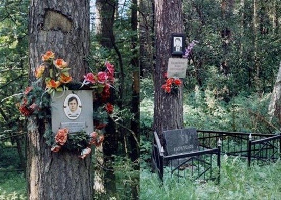 Дорога смерти в Лыткарино фото