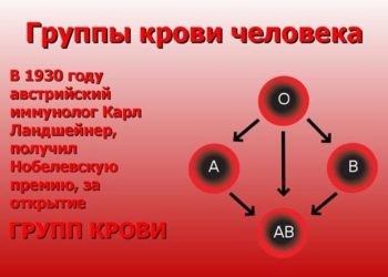 группа крови