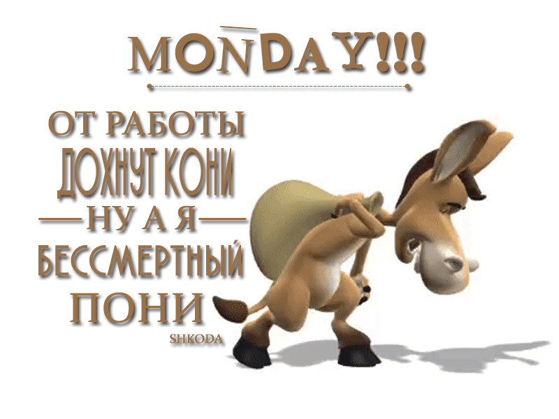 БЕССМЕРТНЫЙ ПОНИ фото