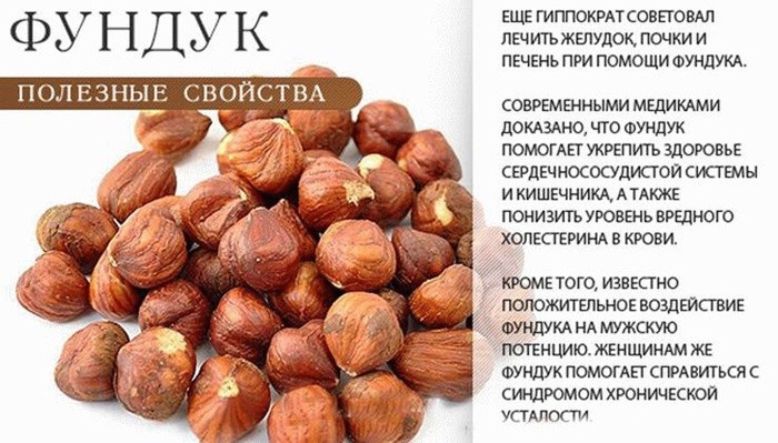 полезные свойства фундука