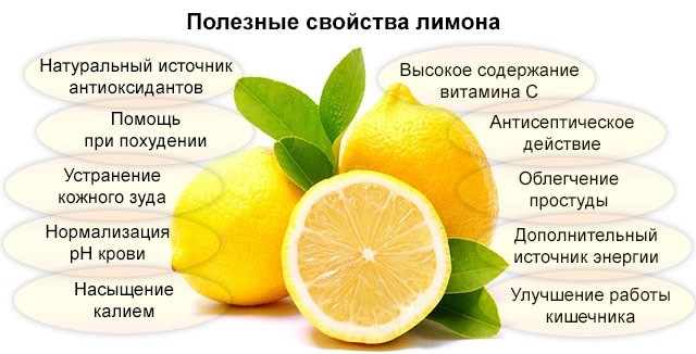 полезные свойства лимона