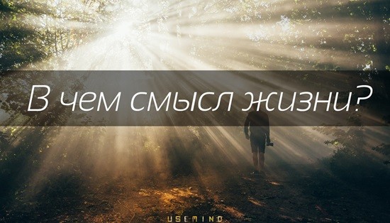 в чем смысл жизни