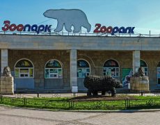 Ленинградский зоопарк фото