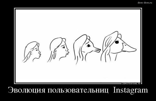 эволюция пользователей инстаграмм