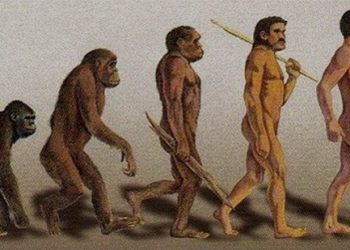 эволюция человека