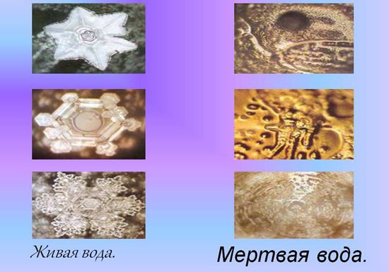 живая и мертвая вода